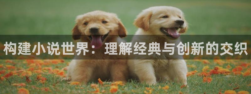 午夜小说软件