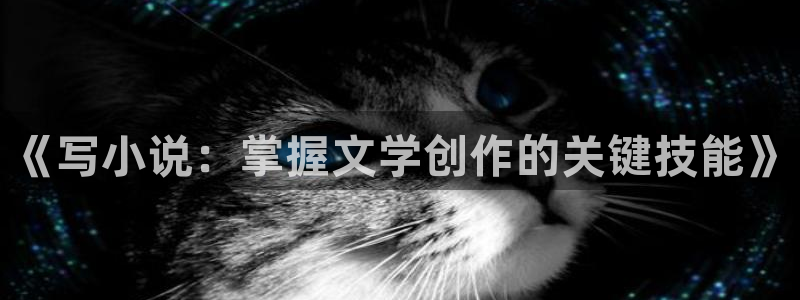 成人午夜小说免费阅读