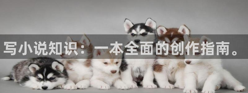 午夜小说 下载